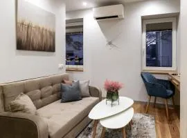Cozy Quiet City Center Apartment