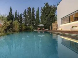 New Luxurious Villa in Kerem Maharal