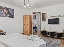 Garsoniera de LUX si eleganta Drumul Taberei