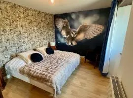 Chouette et Hibou 30 pers 2 gîtes jacuzzi, billard