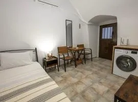 Camara Mani
