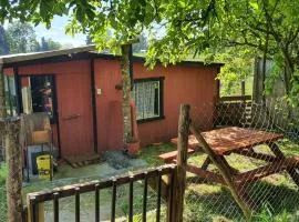 Refugio campestre a 7min de Osorno