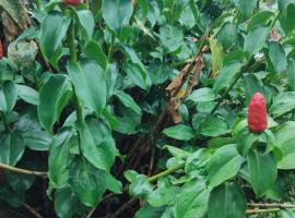 KAN'DLO, penzion v destinaci Le Morne Rouge