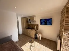 La Foux D'Allos Rez de jardin plein sud 50m des remontées mécaniques