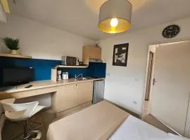 317 Studio Cosy a Perpignan Porte Espagne