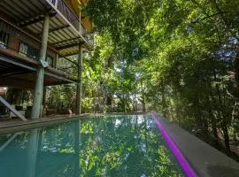 TreeTops by the Sea
