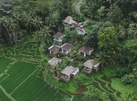 Tirta Sari