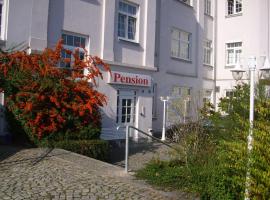 Pension an der Weisseritz, guest house in Dresden