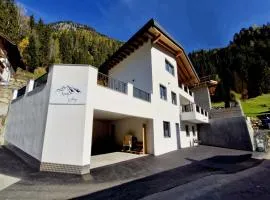 Apartment in Pitztal near Ski Glacier