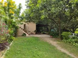 Corbett Green Orchard