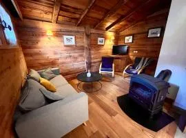 Cosy base to ski the 3 Valleys