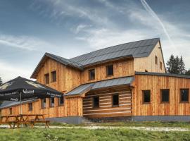 Pardubick&eacute; boudy