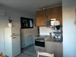 Apartamento rural con vistas