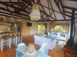 Elephants loft