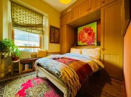 Elumid Dreams