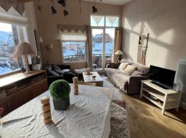 Bright spacious 1 bedroom apartment in residence SNOW Avoriaz 41m2, hotel v destinaci Avoriaz
