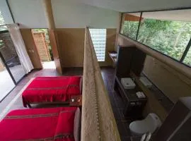 Canto de la Selva Jungle Lodge Selva Lacandona Chiapas