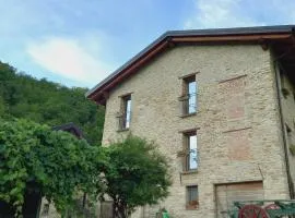 Il Tesoro di MiRo