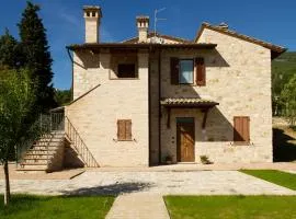 Villa Degli Ulivi
