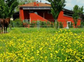 Zemu izmaksu kategorijas viesnīca Agriturismo Adriano Pedretti pilsētā Badia Polesine