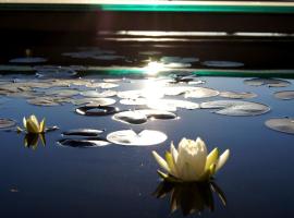 Villa Sandini Hotel & SPA, hotel v destinaci Sandim