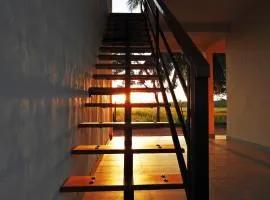 The Blue Sapphire Of Wilpattu