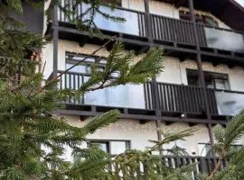 Aparthotel "Mayak Yablunytsia"