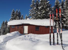 Cabin with great view close to town and ski area