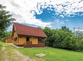 Pet Friendly Home In Licki Osik