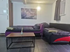 Appartement Somptueux a Unterheinriet