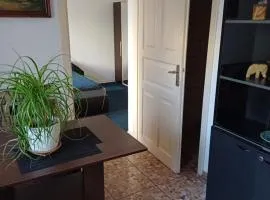 garsoniera cu bucătărie, Iulius Mall