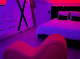 La suite Grand Cru et BDSM 3 minutes de Beaune