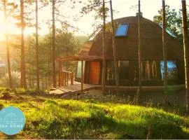 The Forest Sea Dome