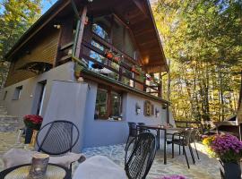 Wild House, chata v destinaci Sinaia