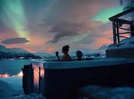 Arctic Aurora View