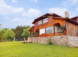 Petunya Orman Evi