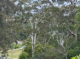 Tathra Views