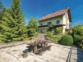 Awesome Apartment In Delnice With Wifi