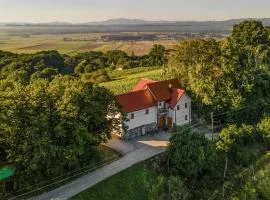 Gorgeous Home In Velika Nedelja