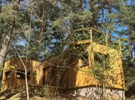 Beautiful Home In Labaroche With Sauna