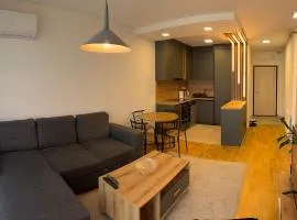 Ilidža VIP apartment