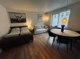 Cozy Flats Silkeborg - S2