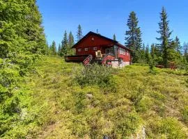 Amazing Home In Sjusjøen With Wifi