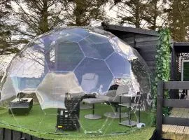Glamping Domes