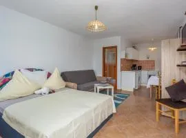 Gorgeous Home In Sveti Vid-Miholjice