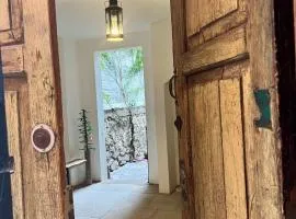 3 deptos en el mismo lugar: Penthouse con doble altura y magnífica arquitectura, Loft con cocina integral y Departamento en planta baja con patio.