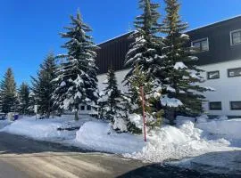 Appartamento Sestriere in residence per 6 Persone