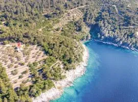 Awesome Home In Vela Luka With House Sea View