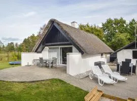 Holiday Home Møllehusvej Blåvand Xi