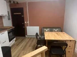 Studio souplex refait à neuf au pied des pistes